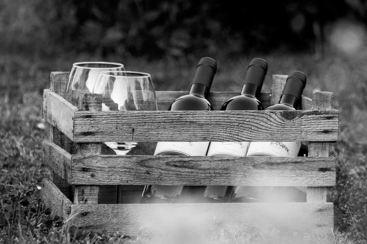 Agriturismo Montecorboli Barberino di Val dʼElsa المظهر الخارجي الصورة